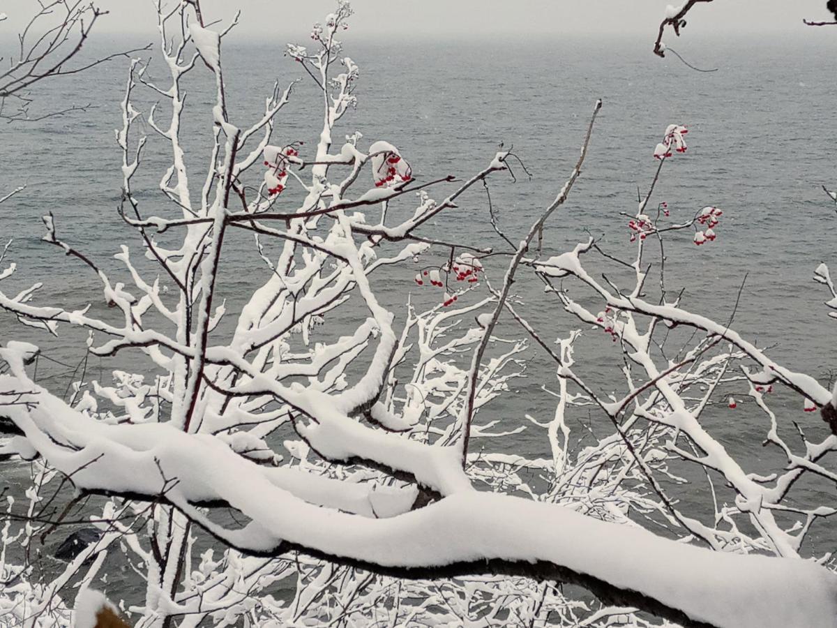 Cliff Dweller On Lake Superior Tofte Экстерьер фото